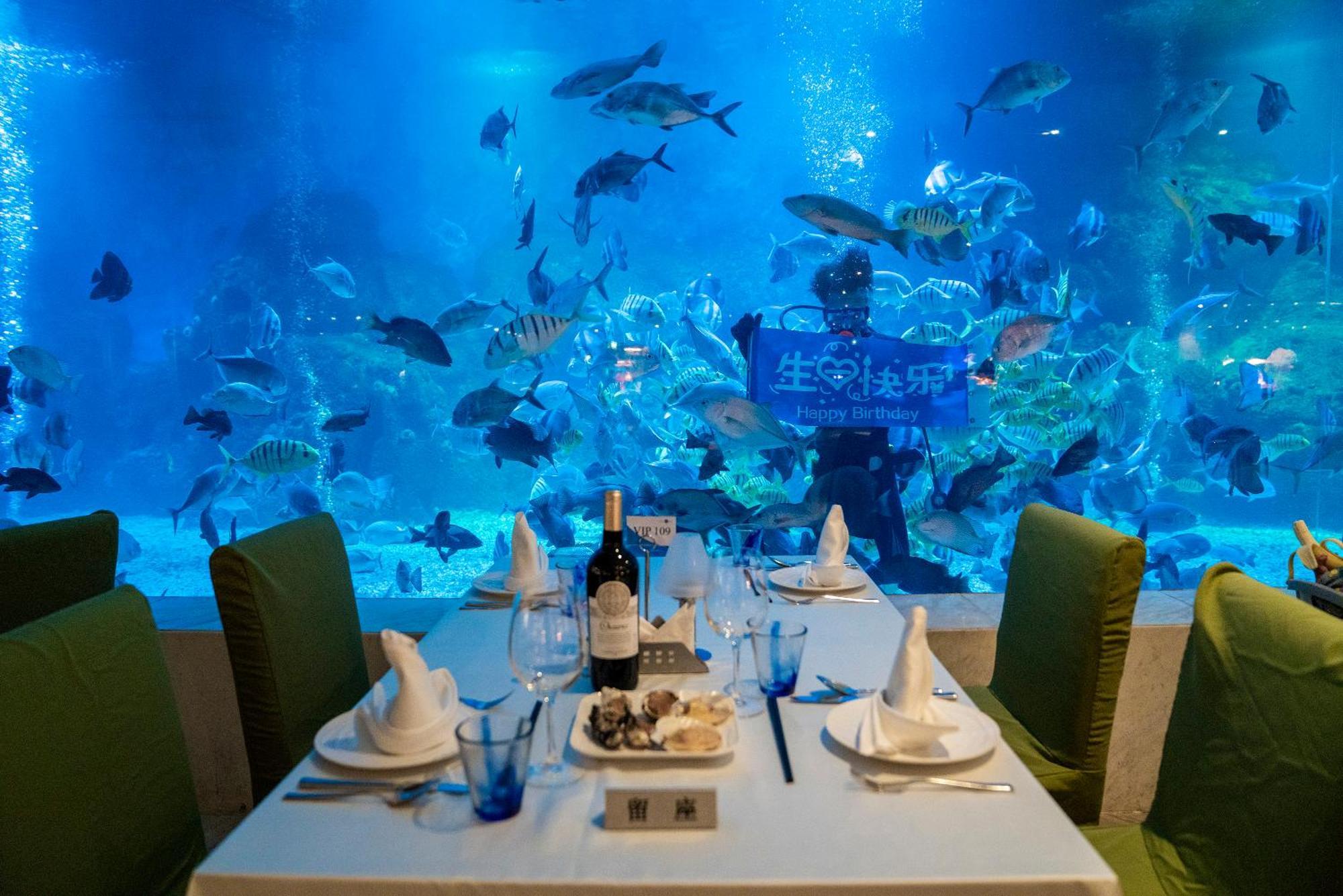 Palace Resort Yalong Bay سانيا المظهر الخارجي الصورة